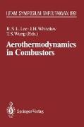 Aerothermodynamics in Combustors