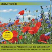 Phantasiereise "Blumenwiese der Lebenskraft"