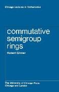 Commutative Semigroup Rings