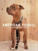 Marc Joseph american Pitbull