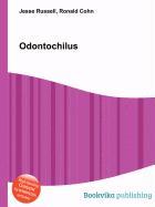 Odontochilus