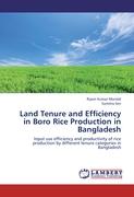 Land Tenure and Efficiency in Boro Rice Production in Bangladesh