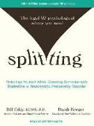 Splitting: Protecting Yourself While Divorcing Someone with Borderline or Narcissistic Personality Disorder