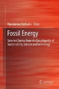 Fossil Energy: Selected Entries from the Encyclopedia of Sustainability Science and Technology