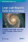 Large-Scale Magnetic Fields in the Universe