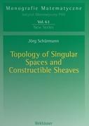 Topology of Singular Spaces and Constructible Sheaves