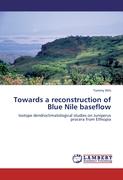 Towards a reconstruction of Blue Nile baseflow