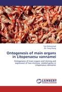 Ontogenesis of main organs in Litopenaesu vannamei