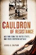 Cauldron of Resistance