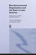 Non-Governmental Organizations and the State in Latin America