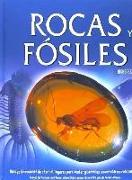 Rocas y fósiles