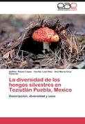 La diversidad de los hongos silvestres en Teziutlán Puebla, Mexico