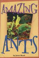 Amazing Ants