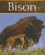 Bison