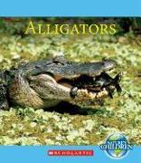 Alligators