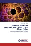 Why the West is in Economic Black Hole: Some Micro Follies