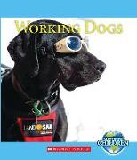 Working Dogs (Nature's Children) (Library Edition)