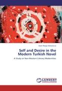 Self and Desire in the Modern Turkish Novel