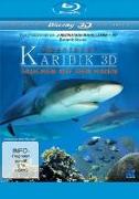 Abenteuer Karibik 3D - Tauchen mit den Haien 3D