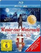 Wunder einer Winternacht 3D 3D