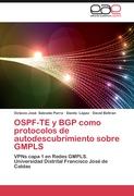 OSPF-TE y BGP como protocolos de autodescubrimiento sobre GMPLS