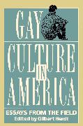 Gay Culture in America
