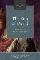 The Son of David 10-Pack: Seeing Jesus in the Historical Books