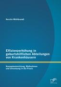 Effizienzerhöhung in geburtshilflichen Abteilungen von Krankenhäusern: Konzeptentwicklung, Maßnahmen und Umsetzung in die Praxis