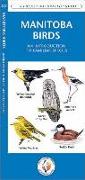 Manitoba Birds: A Folding Pocket Guide to Familiar Species