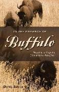 In the Presence of Buffalo