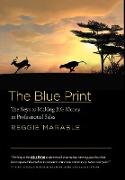 The Blue Print
