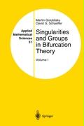 Singularities and Groups in Bifurcation Theory