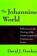 The Johannine World: Reflections on the Theology of the Fourth Gospel and Contemporary Society