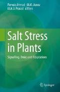 Salt Stress in Plants