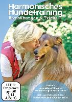 Harmonisches Hundetraining: Basisübungen und Tricks