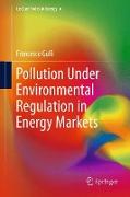 Pollution Under Environmental Regulation in Energy Markets