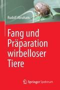 Fang und Präparation wirbelloser Tiere