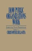 How Public Organizations Work
