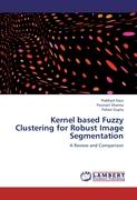 Kernel based Fuzzy Clustering for Robust Image Segmentation