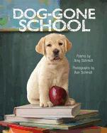 Dog-Gone School
