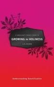 A Christian's Pocket Guide to Growing in Holiness