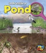 Pond: Look Inside