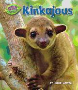 Kinkajous