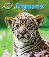 Jaguars