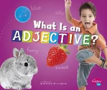 What Is an Adjective?