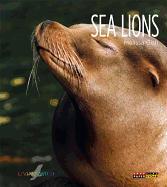 Sea Lions