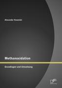Methanoxidation: Grundlagen und Umsetzung