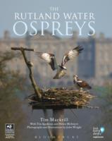 The Rutland Water Ospreys