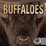 Buffaloes