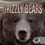 Grizzly Bears